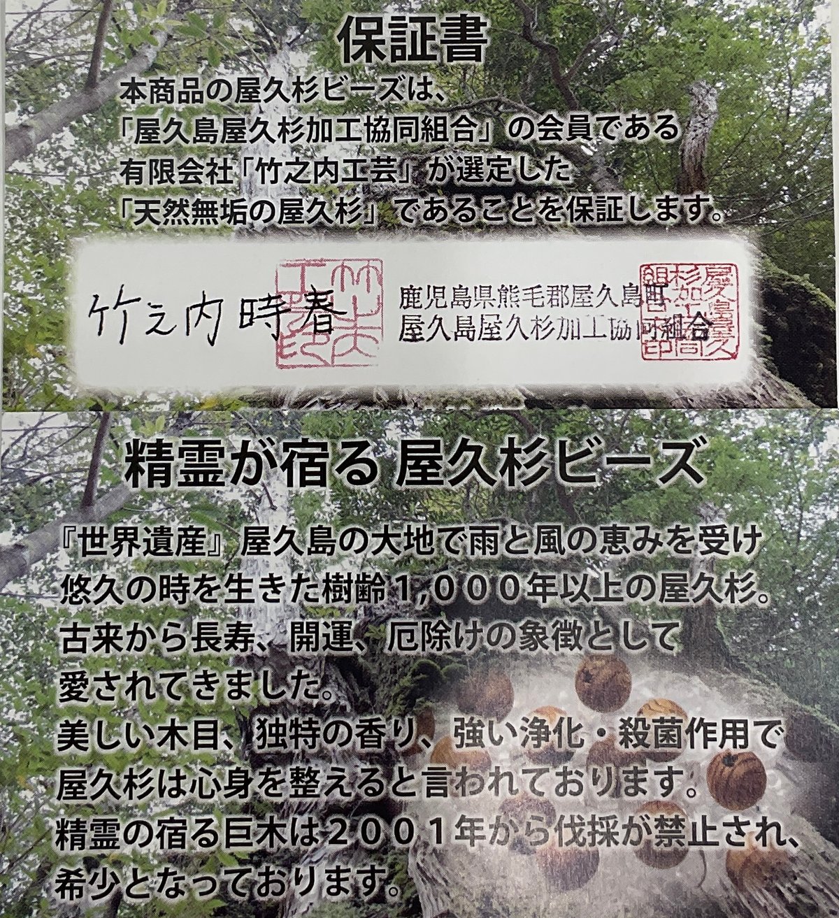 屋久杉泡瘤　鹿児島県屋久島　屋久杉　パワーウッド　プレミアムストーン 屋久杉泡瘤 鹿児島県屋久島 屋久杉 パワーウッド プレミアム