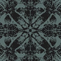 INSIDIOUS PROCESS - Mirrors Of The Dead LP (ACM031)