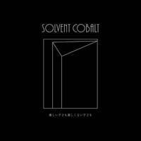 SOLVENT COBALT - 楽しい子ども楽しくない子ども 12"EP (Asylum Party)