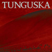 DE NOVISSIMIS / TUNGUSKA  - split 7"EP (SuperFi)