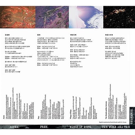 無我 (MUGA) - There Is Nothing Eternal Exists LP (7inch distro)