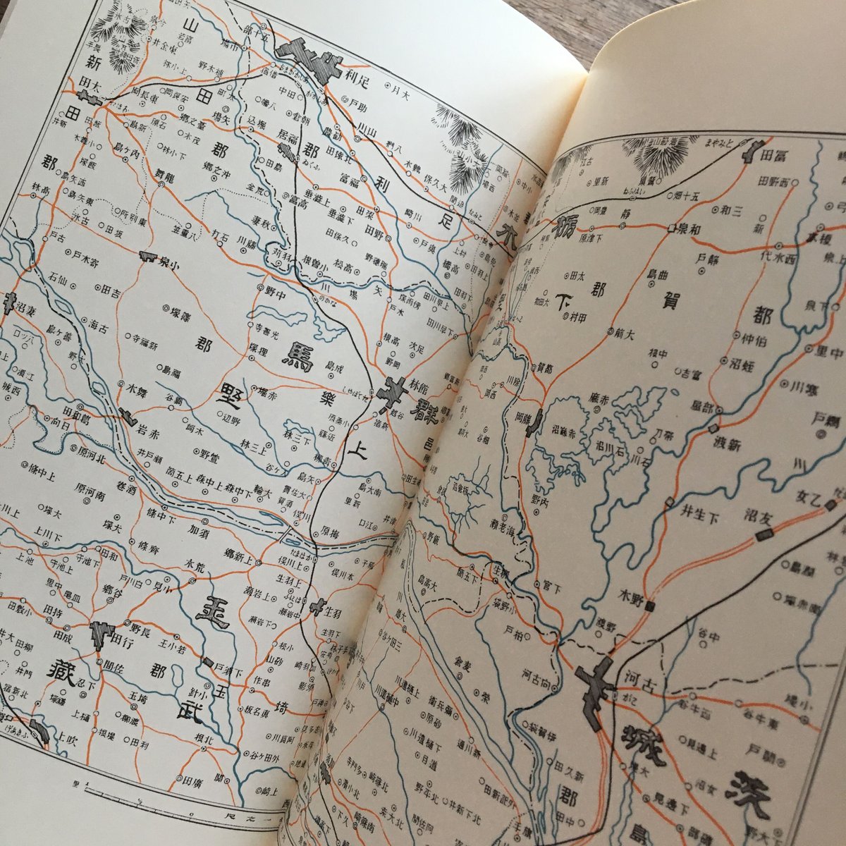 田山花袋『田舎教師』（新撰 名著復刻全集 近代文学館）【再入荷