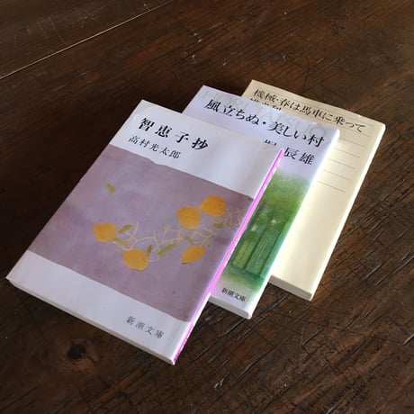 "さらば愛しき人よ"パック（3冊セット）：『智恵子抄』高村光太郎、『風立ちぬ』堀辰雄、『春は馬車に乗って』横光利一