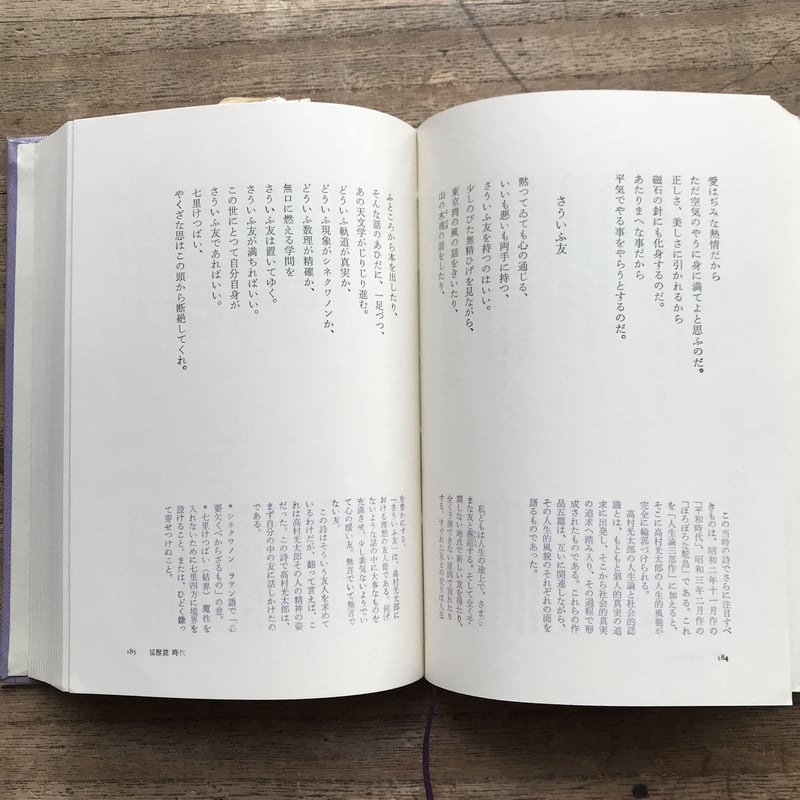 中央公論社『日本の詩歌 10 高村光太郎』（付録付） | ころがろう書店