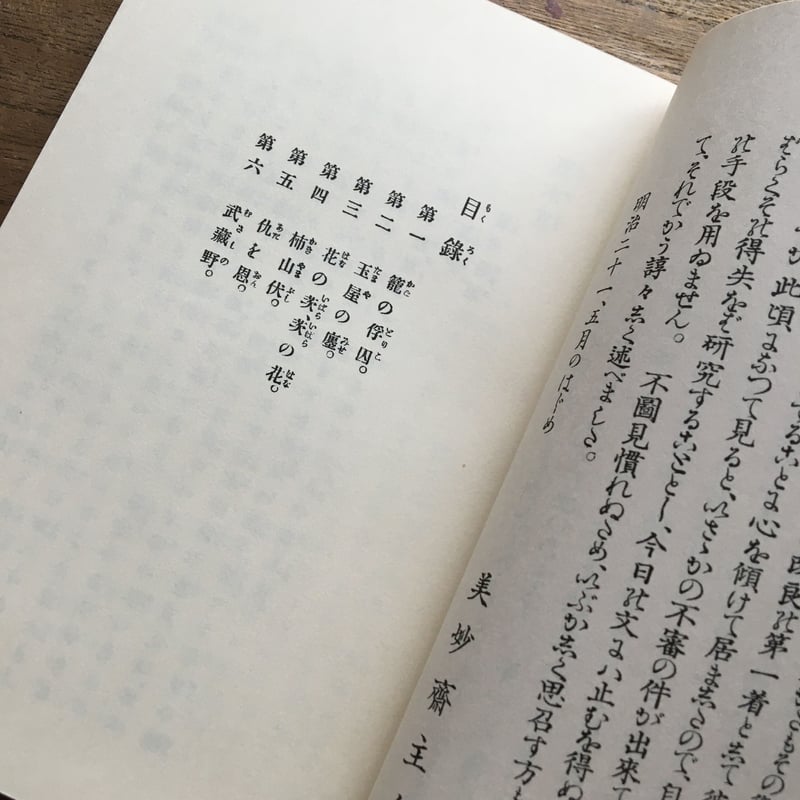 山田美妙『夏木立』（新撰 名著復刻全集 近代文学館）【再入荷