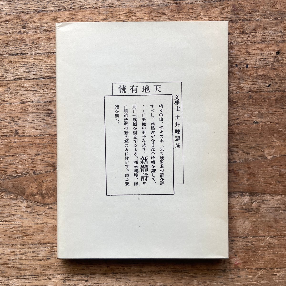 土井晩翠『天地有情』（名著復刻全集 近代文学館 明治前期） | ころが