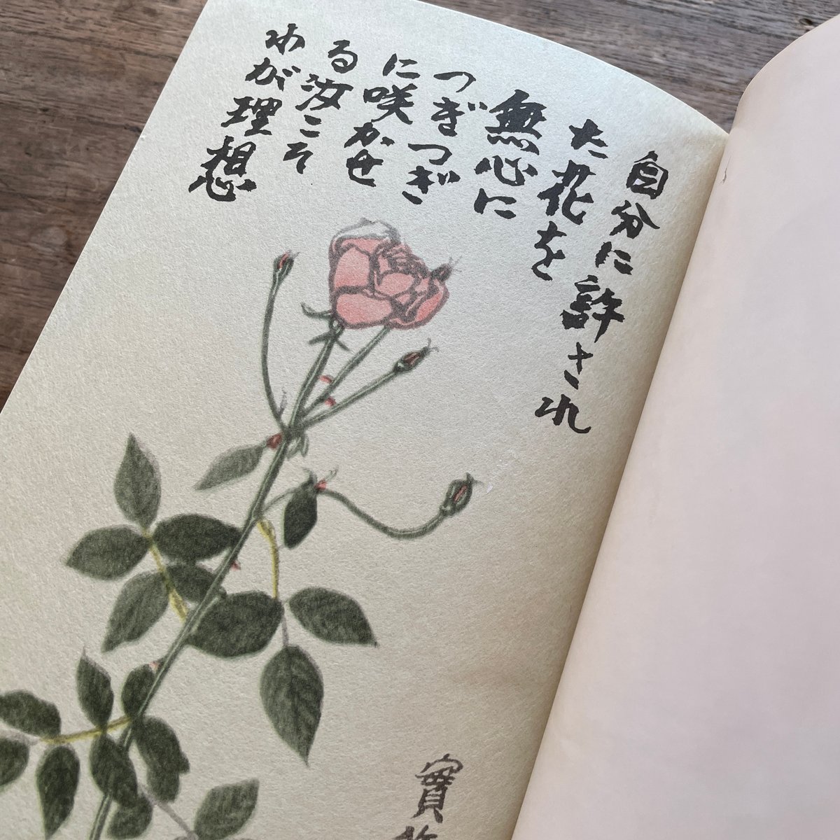 武者小路実篤 自選詩画集 武者小路実篤自選詩画集(限定) 欅書房｜Yahoo!フリマ（旧PayPayフリマ）