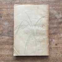 佐藤春夫『病める薔薇』（精撰 名著復刻全集 近代文学館）【再入荷