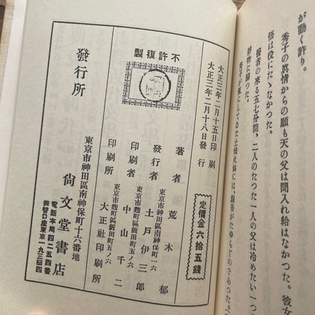 荒木郁『叢書『青鞜』の女たち　第6巻　火の娘』