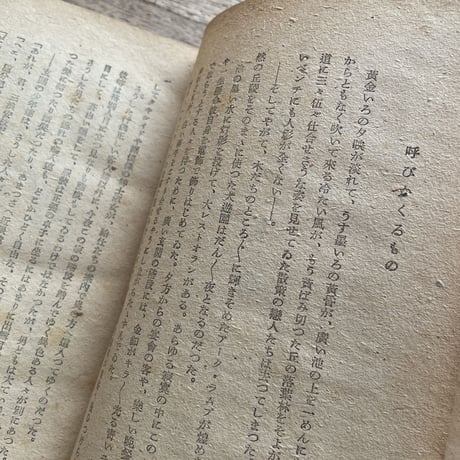 三上於菟吉『愛の掠奪』（初版）