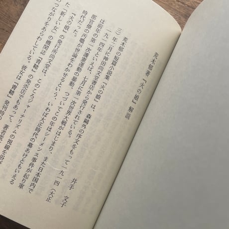 荒木郁『叢書『青鞜』の女たち　第6巻　火の娘』