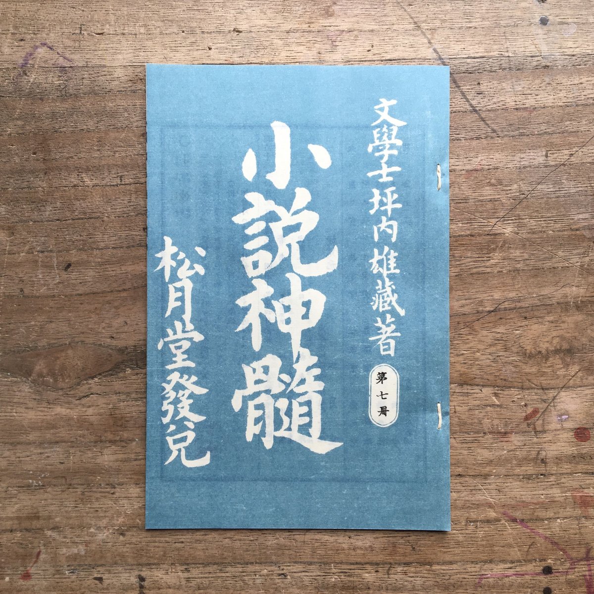 坪内逍遥『小説神髄(9冊セット)』(精選 名著復刻全集 近代 坪内逍遥『小説神髄(9冊セット)』(精選 名著復刻全集 近代