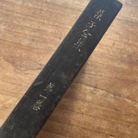 上野葉子『葉子全集』（第一巻・第二巻揃）