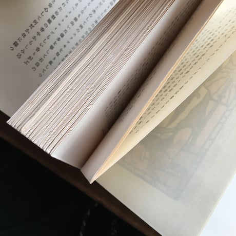 夏目漱石『漾虚集』（名著復刻　漱石文学館）