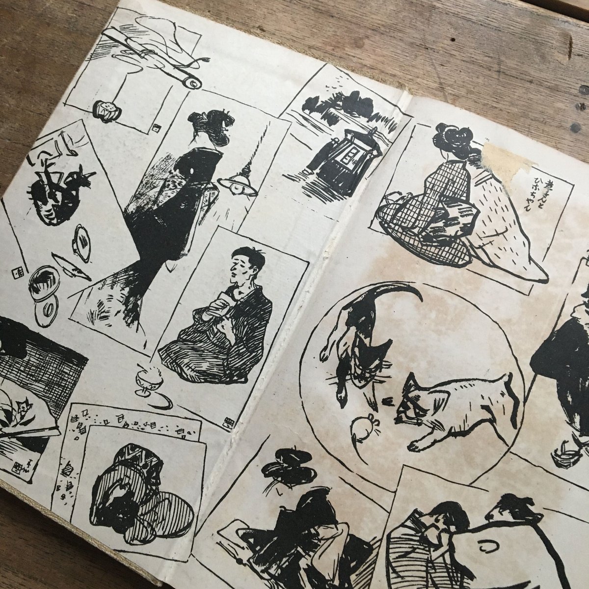 泉鏡花『白鷺』（初版・函欠） | ころがろう書店