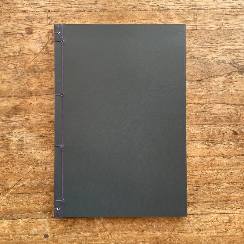 巌谷小波『當世少年氣質』（名著復刻 日本児童文学館②）【再入荷