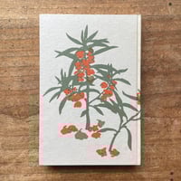 太宰治『桜桃』（初版） | ころがろう書店