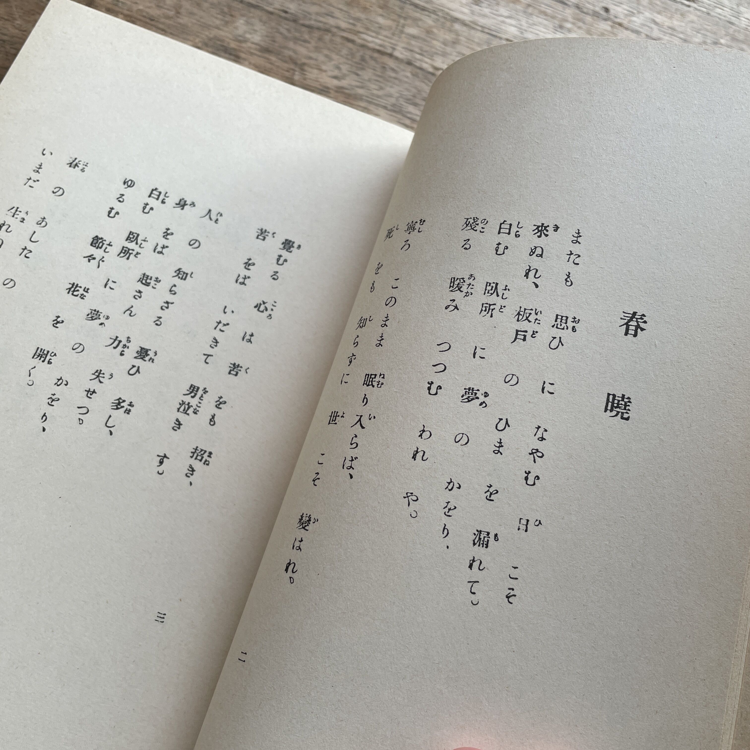 岩野泡鳴『闇の盃盤』（名著複刻詩歌文学館<紫陽花セット>） | ころが