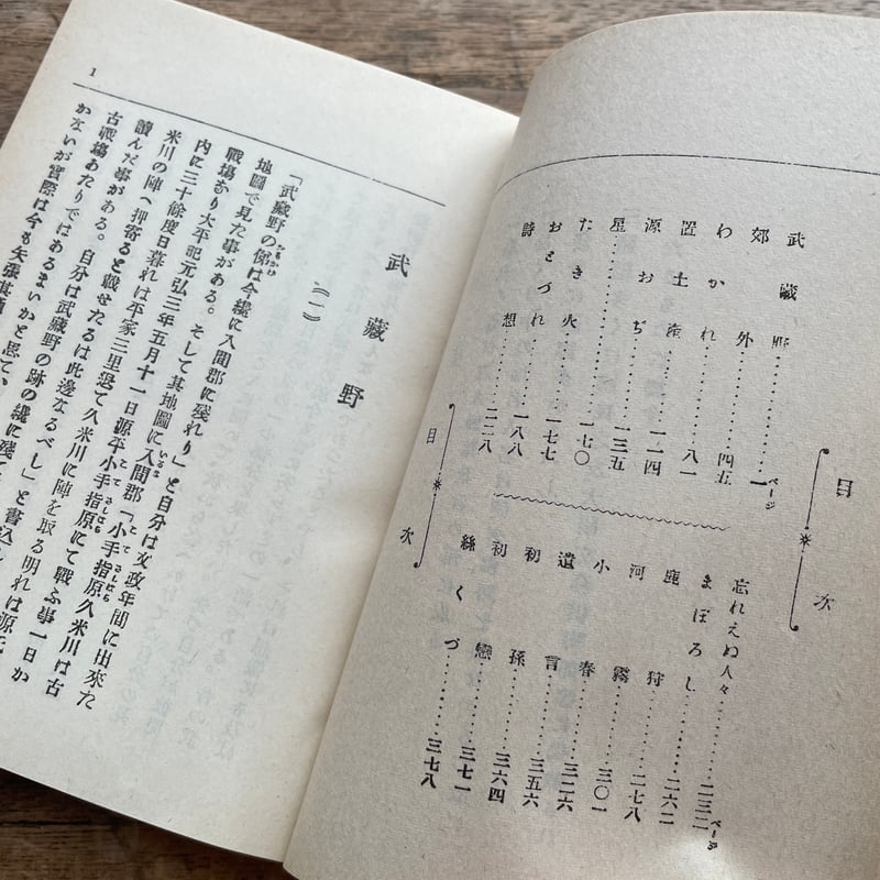 【古書】新選　名著復刻全集　近代文学館　昭和47年 昭和49年 本 26冊 日本近代文学館編『新選 名著復刻全集 近代文学館 作品解題