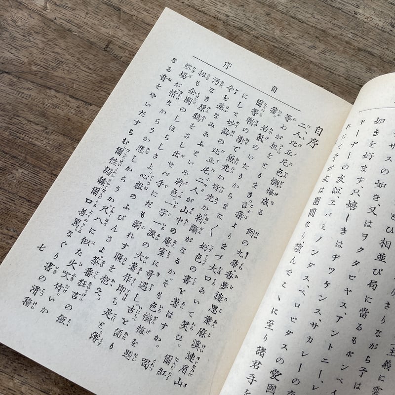 尾崎紅葉『二人比丘尼 色懺悔』（新撰 名著復刻全集 近代文学館）【再