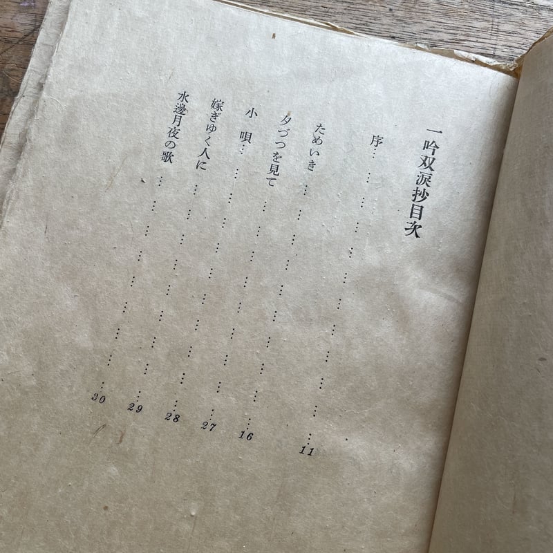 定本 佐藤春夫全集 全巻セット38冊 臨川書店 定本 佐藤春夫全集 全巻セット38冊 臨川書店