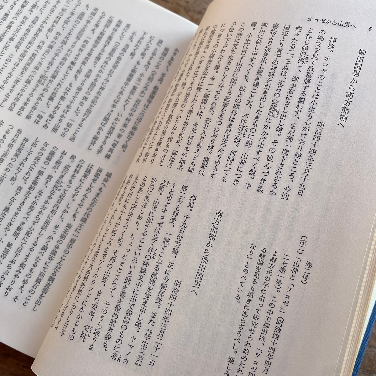 飯倉照平編『柳田国男 南方熊楠 往復書簡集』（初版） | ころがろう書店