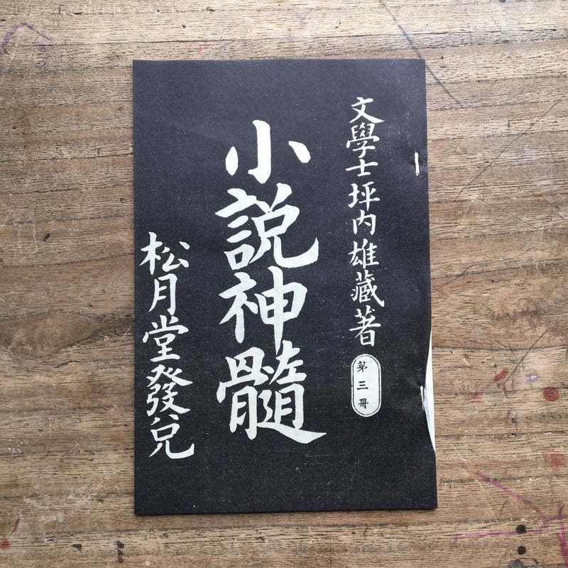 坪内逍遥『小説神髄(9冊セット)』(精選 名著復刻全集 近代 坪内逍遥『小説神髄(9冊セット)』(精選 名著復刻全集 近代