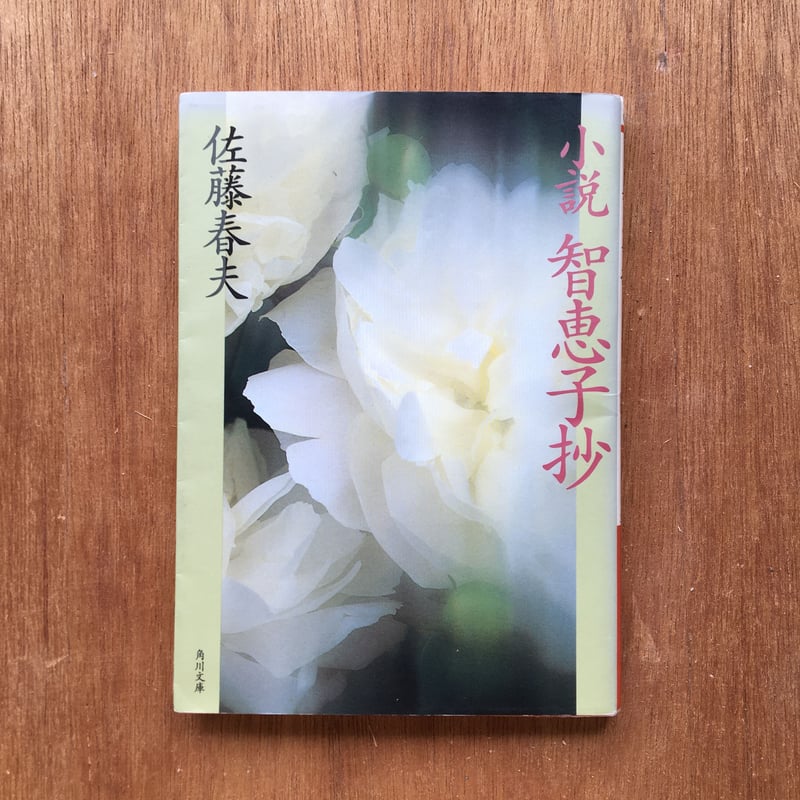 【中古】 小説智恵子抄/日本図書センター/佐藤春夫 小説智恵子抄 (人間叢書) - 佐藤春夫/日本図書センター【本が好き!】