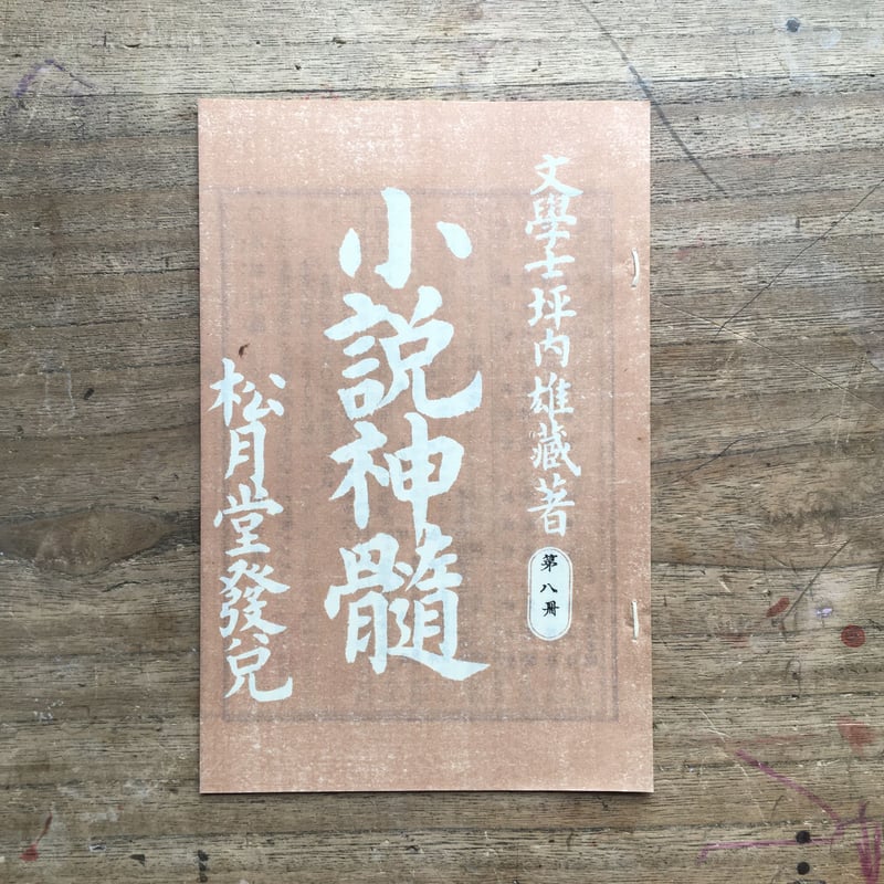 坪内逍遥『小説神髄（9冊セット）』（精選 名著復刻全集 近代