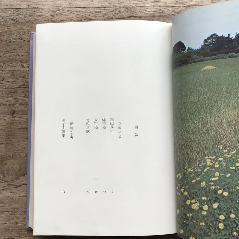 中央公論社『日本の詩歌 3 正岡子規・伊藤左千夫・長塚節・高浜虚子