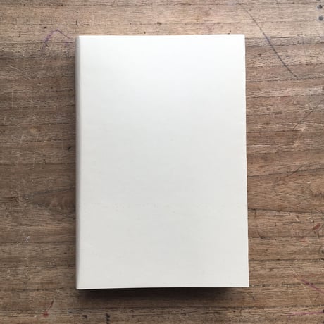 岩野泡鳴『発展』（特選　名著復刻全集　近代文学館）