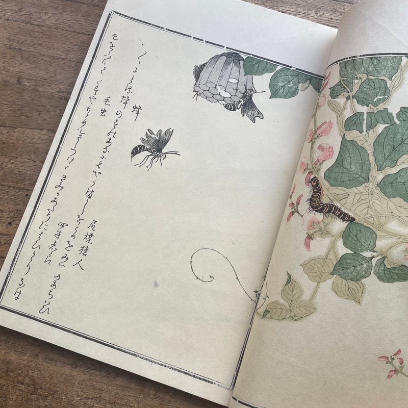 生活科学 設楽実 酒井書店 1986年 書込少しあるが状態は良 レア