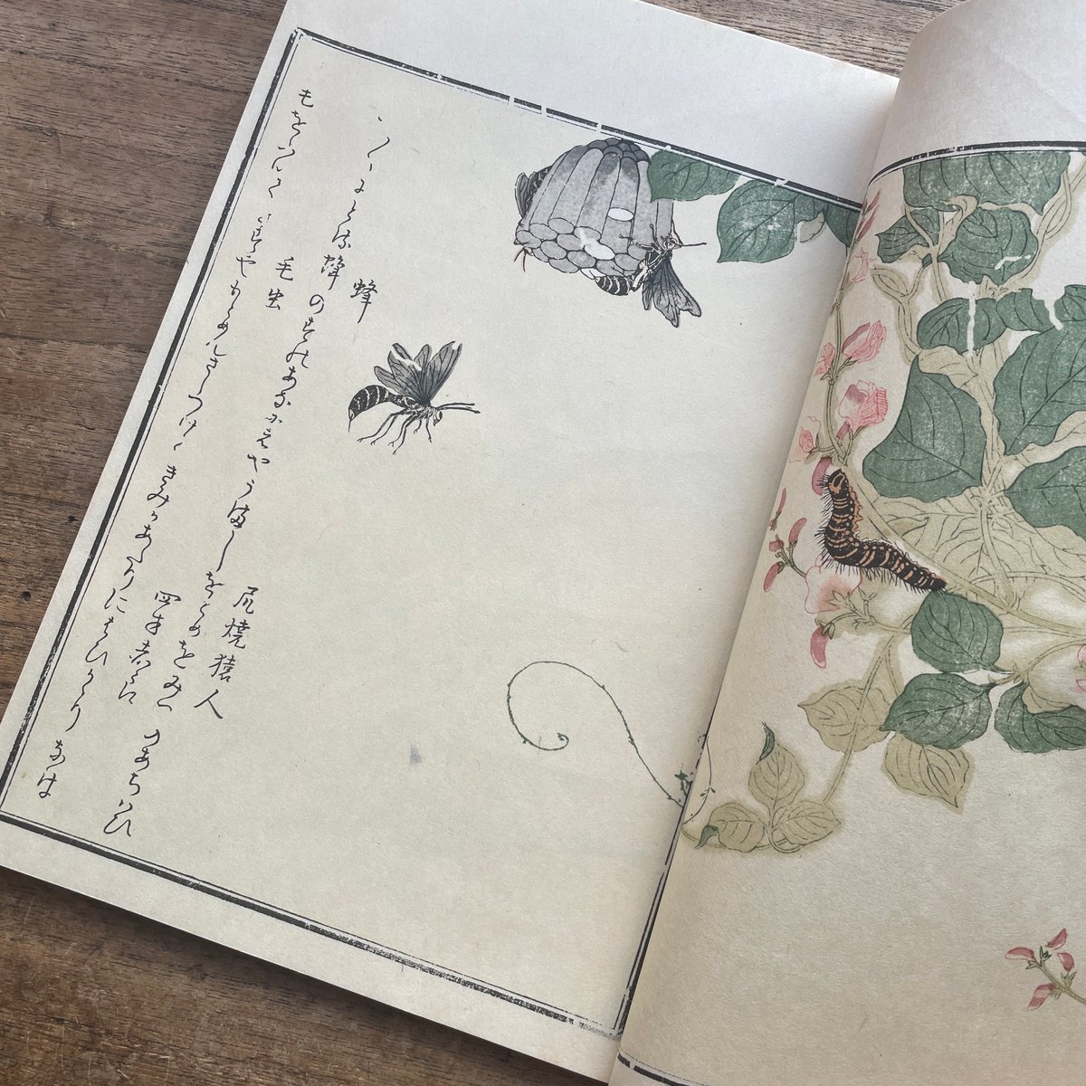 画本虫撰 初擦本』（複刻日本古典文学館） | ころがろう書店
