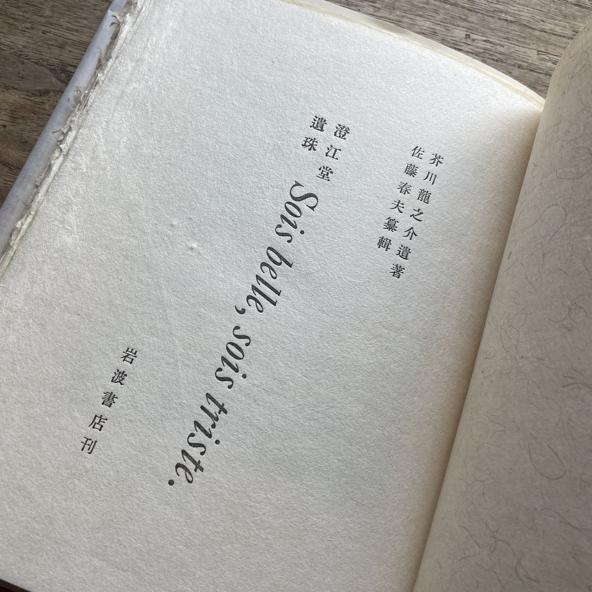 定本佐藤春夫全集  第２２巻 /臨川書店/佐藤春夫（単行本） 定本 佐藤春夫全集 全38冊揃(全36巻・別巻2冊)(佐藤春夫) / 古本