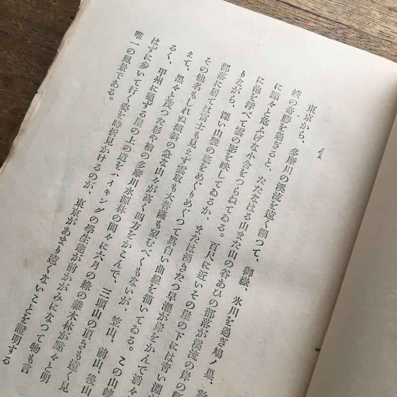 石川達三『日蔭の村』 | ころがろう書店