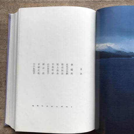 中央公論社『日本の詩歌 29 短歌集』（付録付）