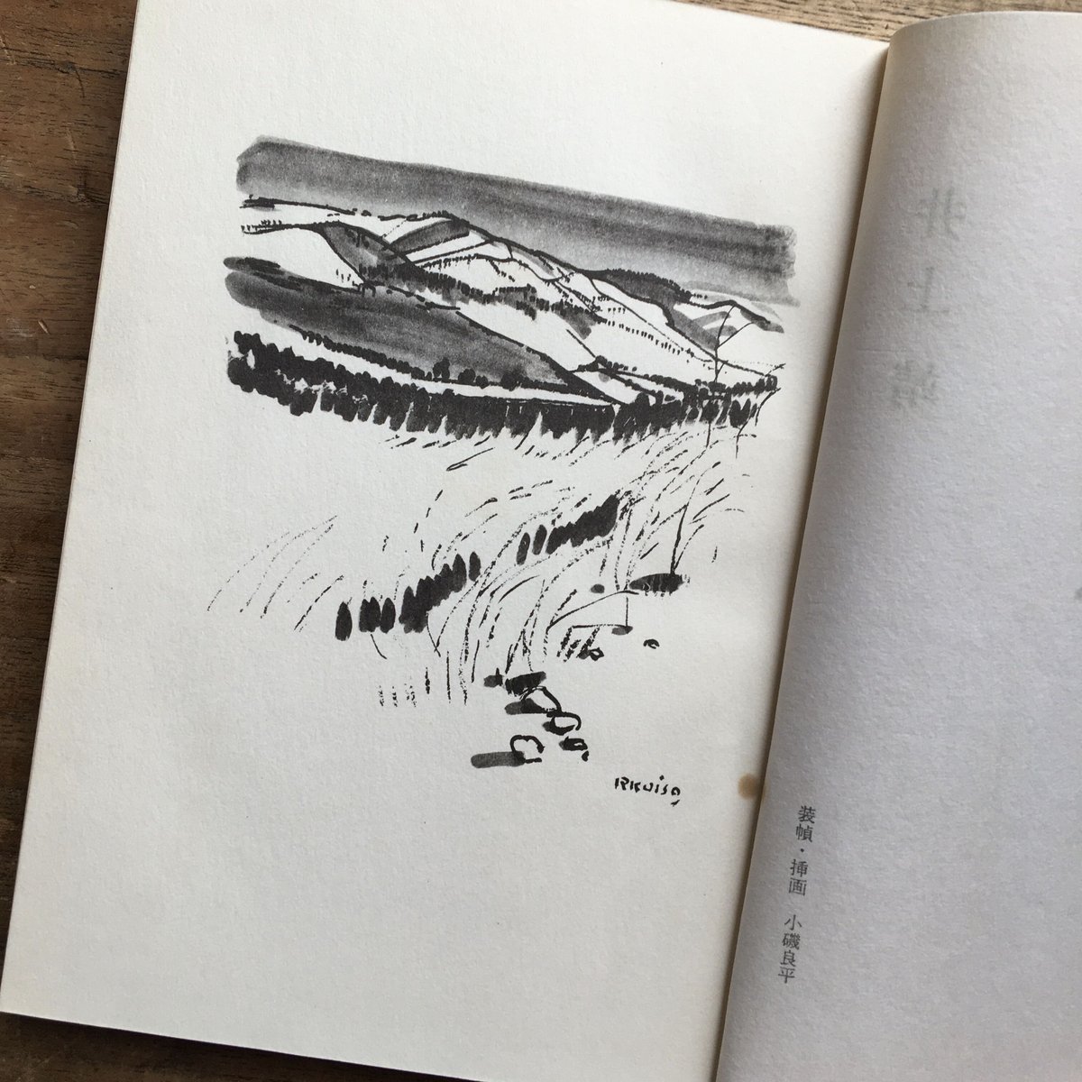 井上靖『しろばんば』（初版・函） | ころがろう書店