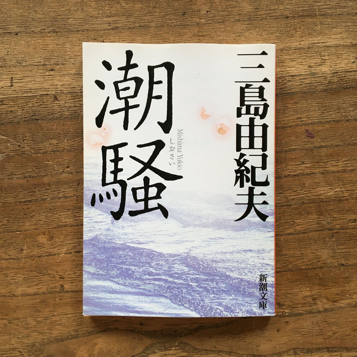 海を創った男 海を失った男 | 晶文社