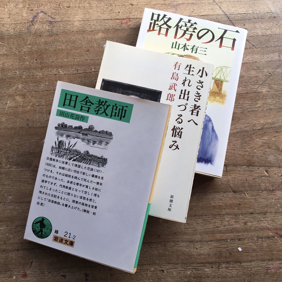 小さな鴨 田山花袋 大正2年出版 田山花袋『小さな鳩』（名著復刻 日本児童文学館 第二集