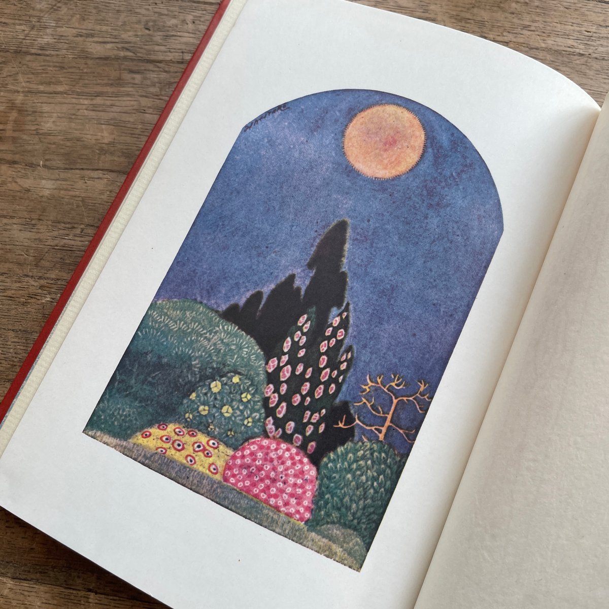 秋田雨雀『太陽と花園』（名著復刻 日本児童文学館⑬）【再入荷