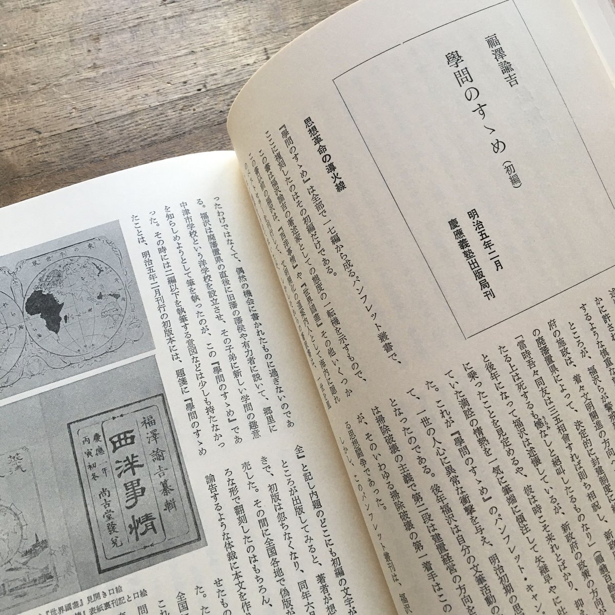 日本近代文学館編『新撰 名著復刻全集 近代文学館　作品解題』