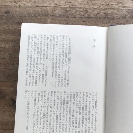 中央公論社『日本の文学 8 田山花袋・岩野泡鳴・近松秋江』（付録付）