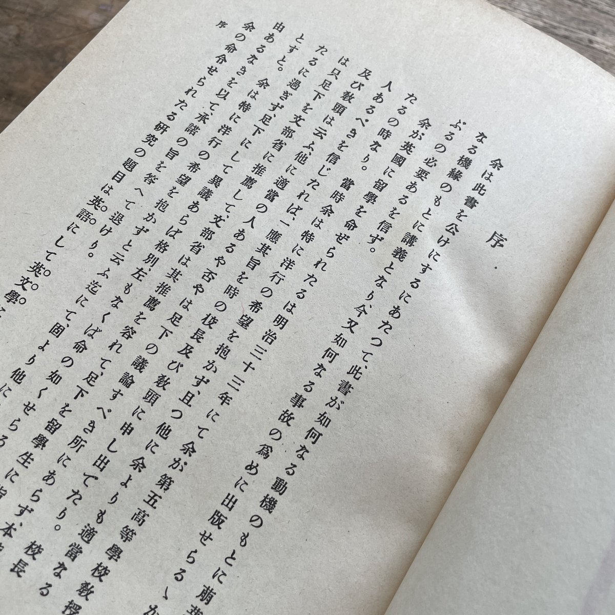 夏目漱石『文学論』（名著復刻 漱石文学館） | ころがろう書店