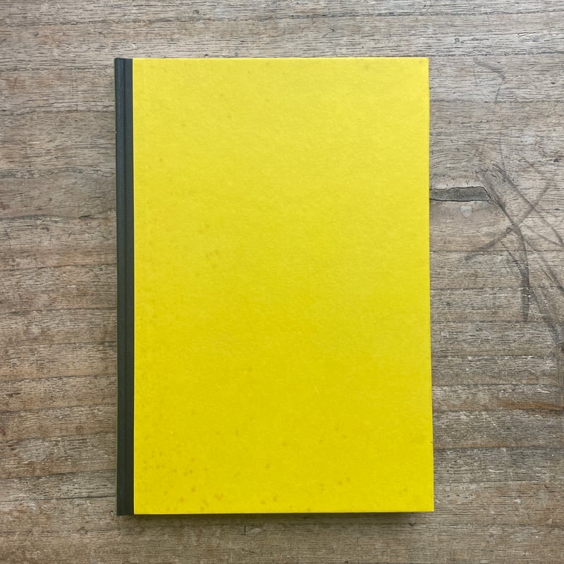酒井朝彦『木馬のゆめ』（名著復刻 日本児童文学館㉔）【再入荷