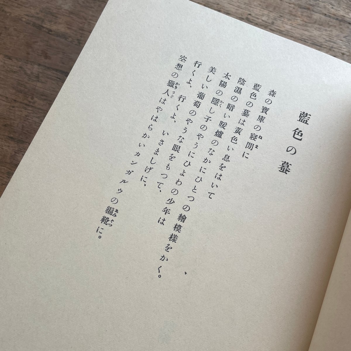 大手拓次『藍色の蟇』（名著複刻詩歌文学館<紫陽花セット>）【再入荷】 | ころがろう書店