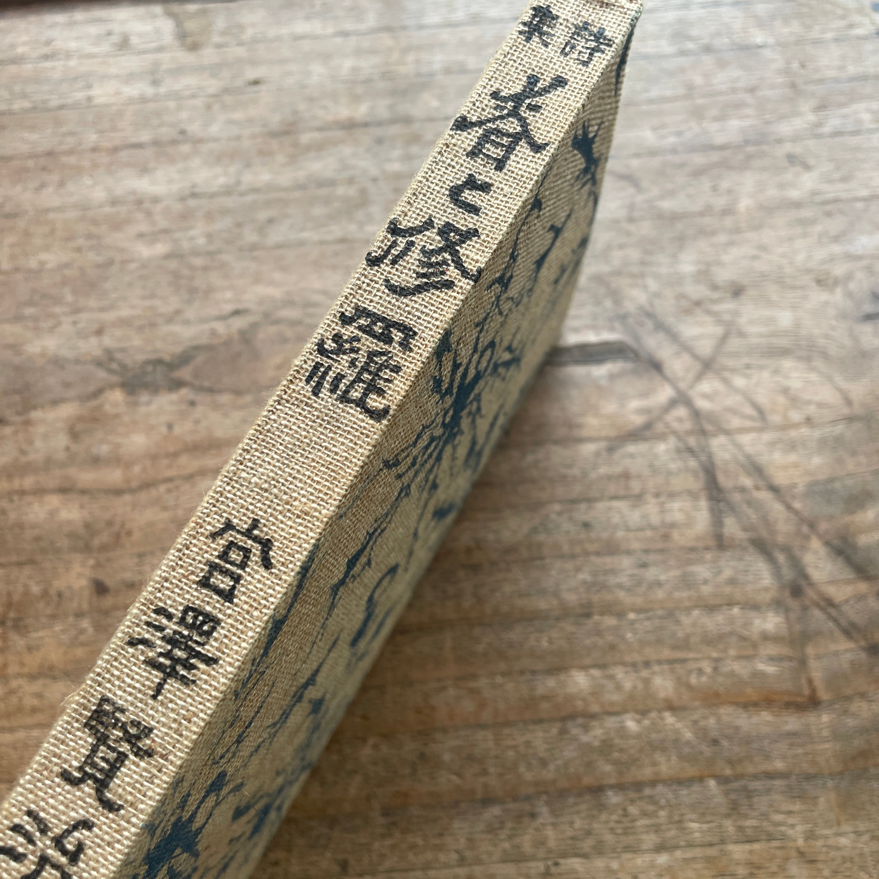 宮澤賢治『春と修羅』（精選 名著復刻全集 近代文学館）【再入荷