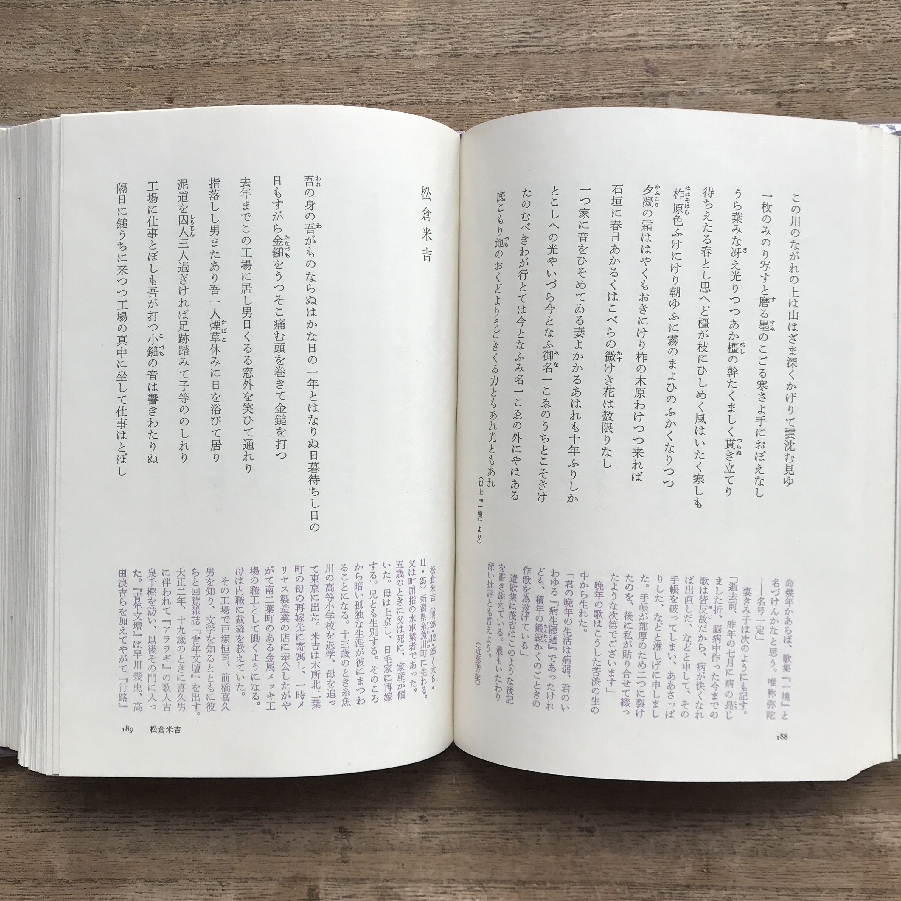 中央公論社『日本の詩歌 29 短歌集』（付録付） | ころがろう書店