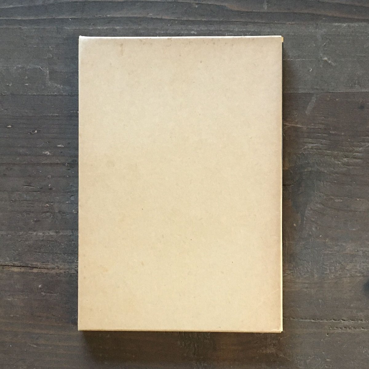 初版　すみだ川　永井荷風 永井荷風『すみだ川』（新撰 名著復刻全集 近代文学館）【再入荷