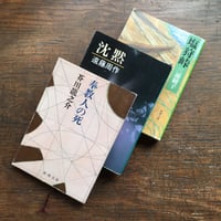 田山花袋『田舎教師』（新撰 名著復刻全集 近代文学館） | ころ