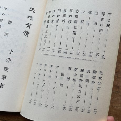 土井晩翠『天地有情』（名著復刻全集 近代文学館 明治前期）